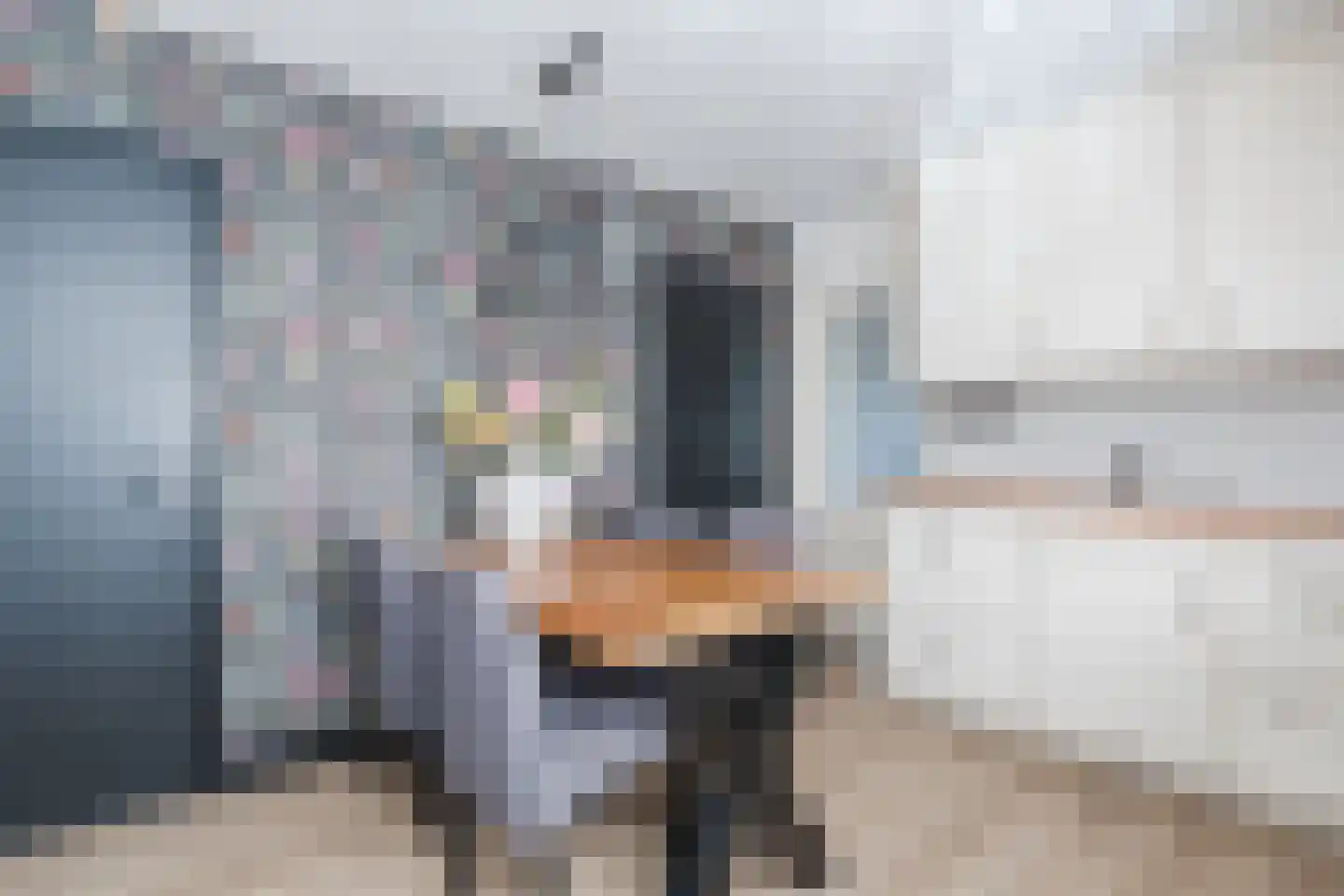 Otto Zomerweg 39 Hollandscheveld thumbnail 19