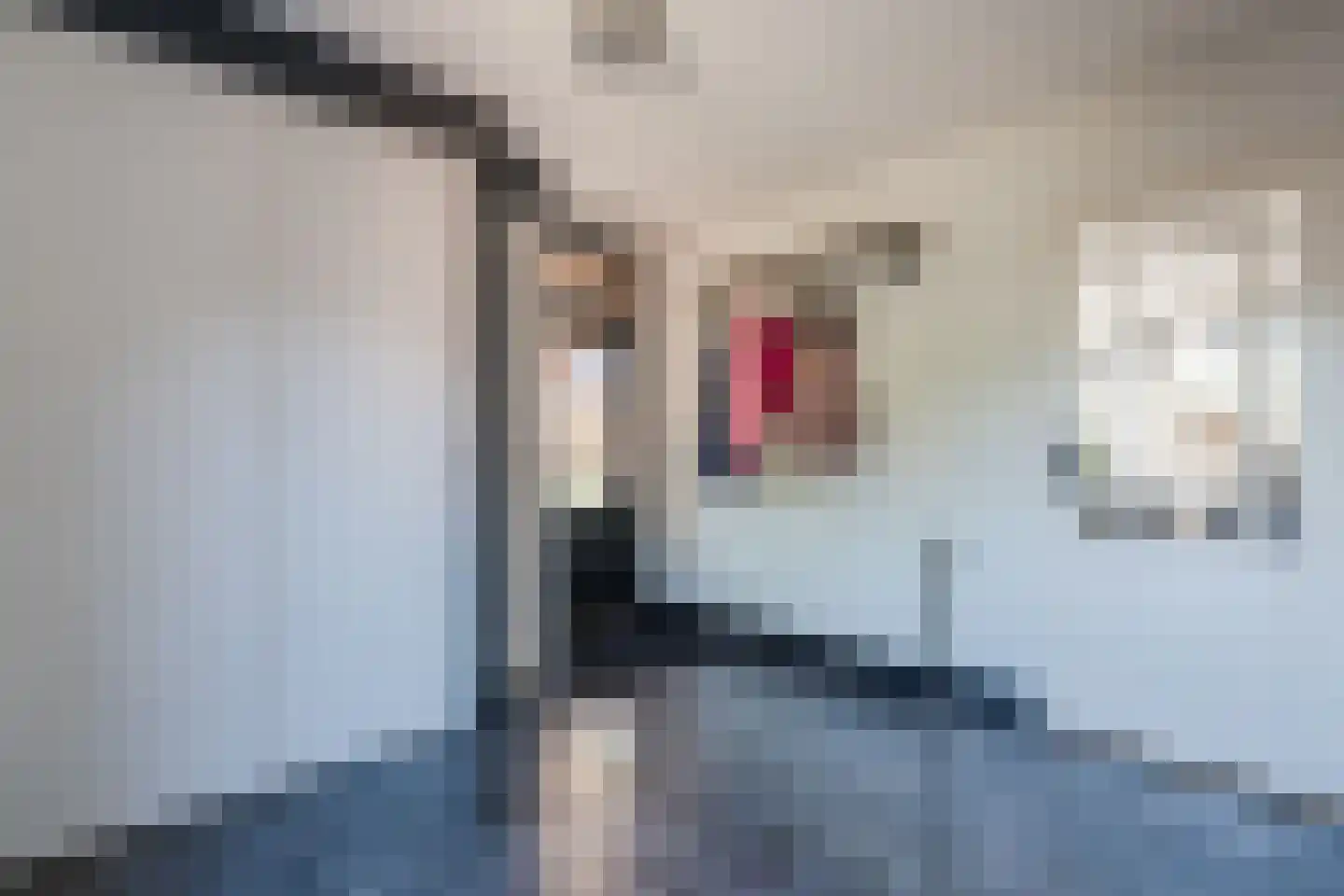 Otto Zomerweg 39 Hollandscheveld thumbnail 25