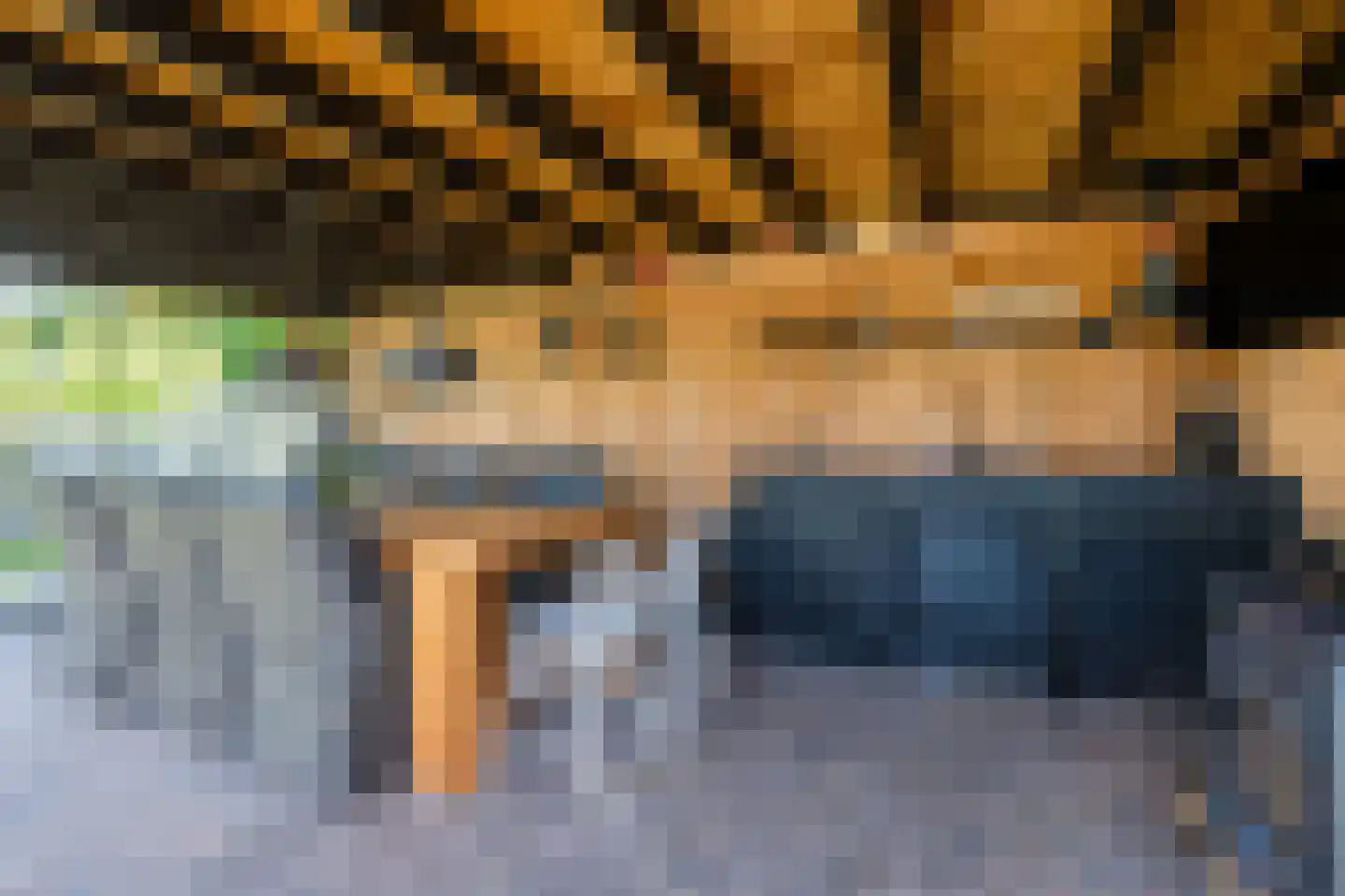 Otto Zomerweg 39 Hollandscheveld thumbnail 44