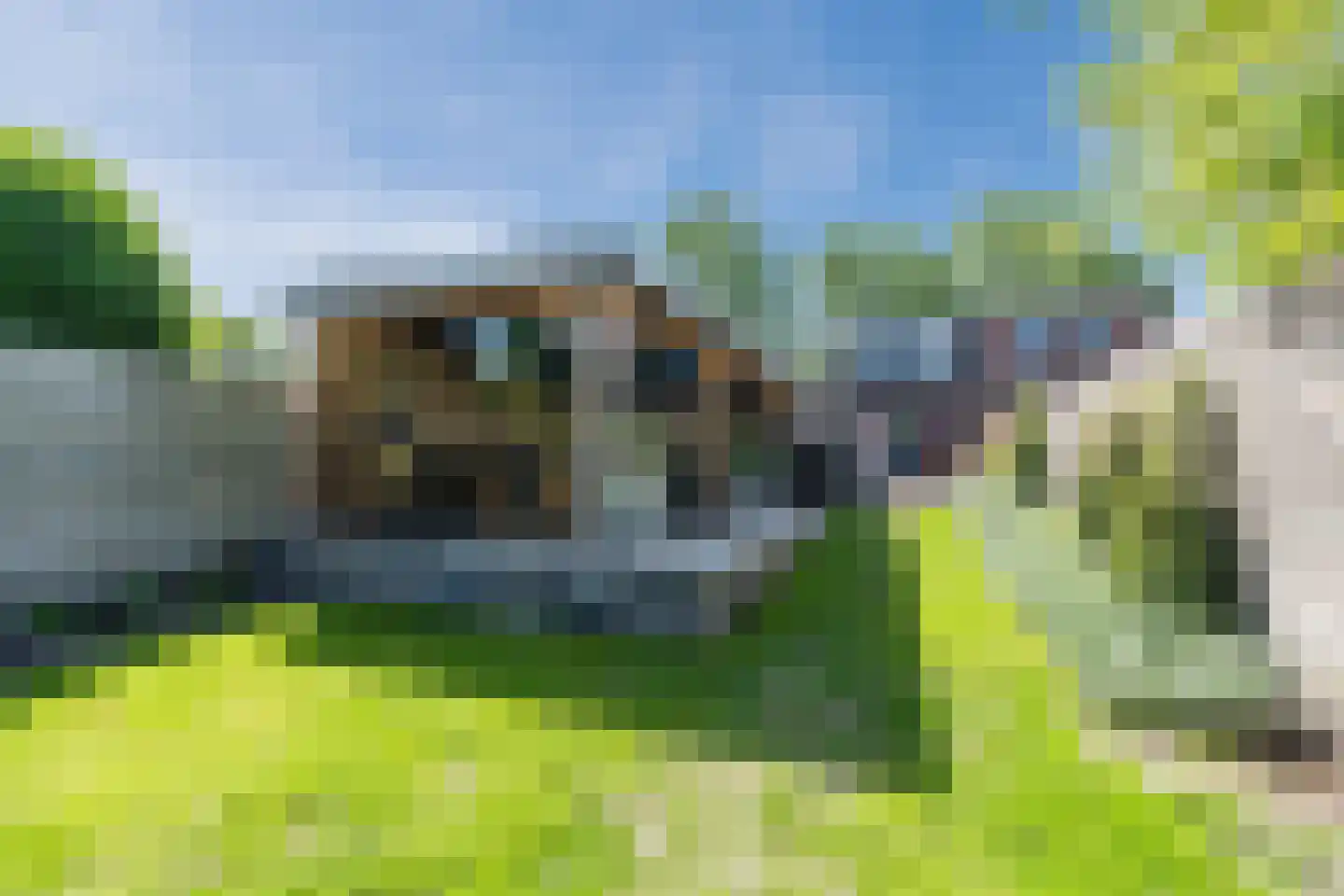 Otto Zomerweg 39 Hollandscheveld thumbnail 49