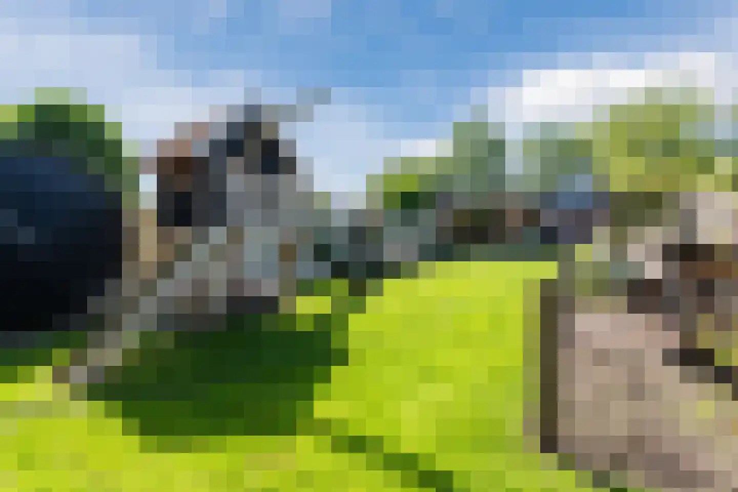 Otto Zomerweg 39 Hollandscheveld thumbnail 51