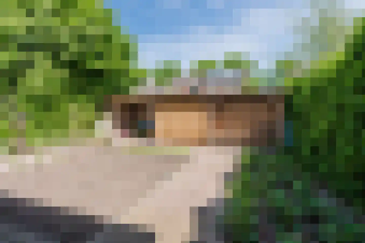 Otto Zomerweg 39 Hollandscheveld thumbnail 53
