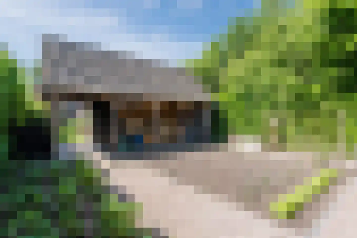 Otto Zomerweg 39 Hollandscheveld thumbnail 54
