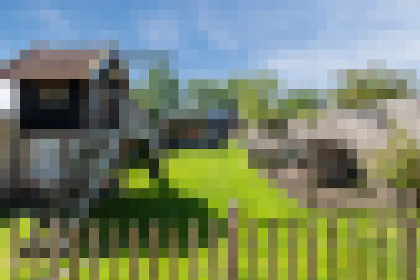 Otto Zomerweg 39 Hollandscheveld thumbnail 55