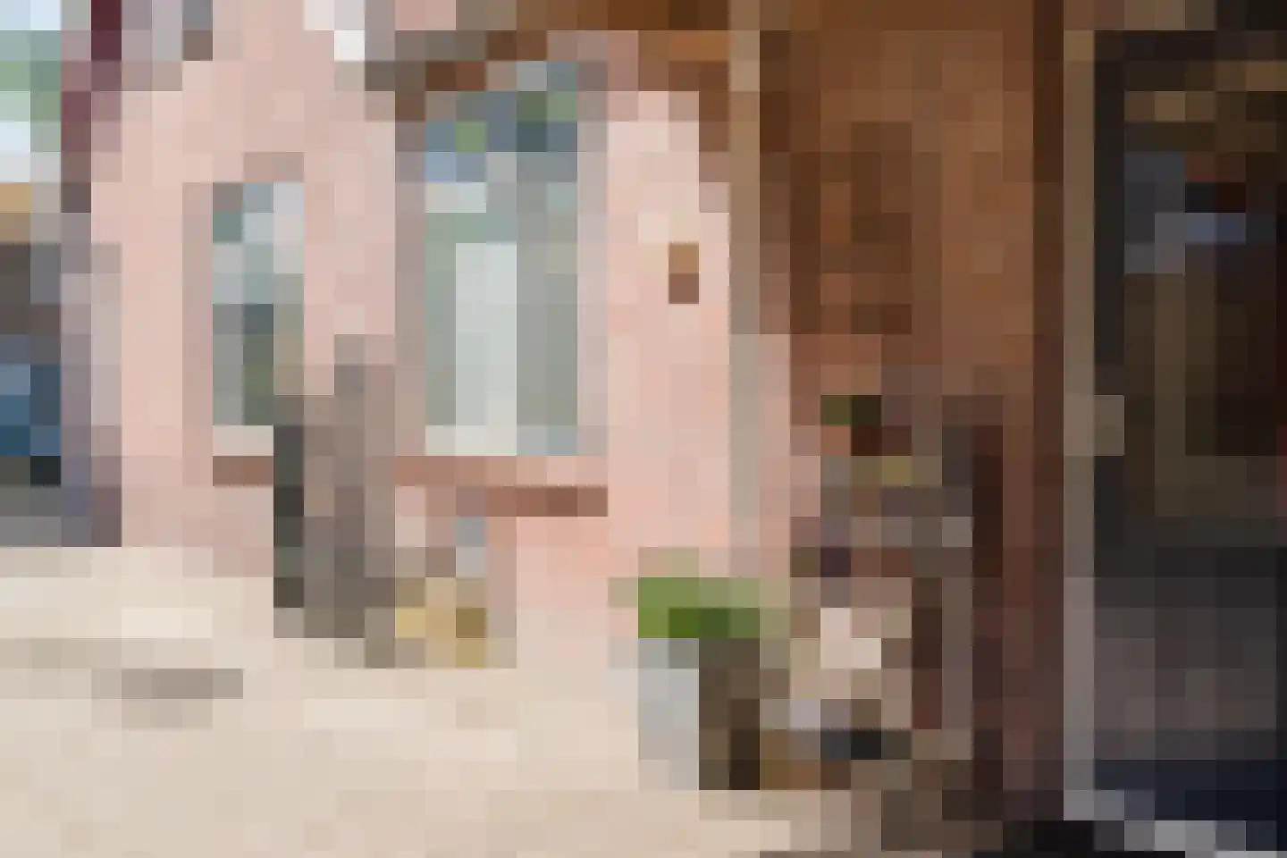 Otto Zomerweg 39 Hollandscheveld thumbnail 9