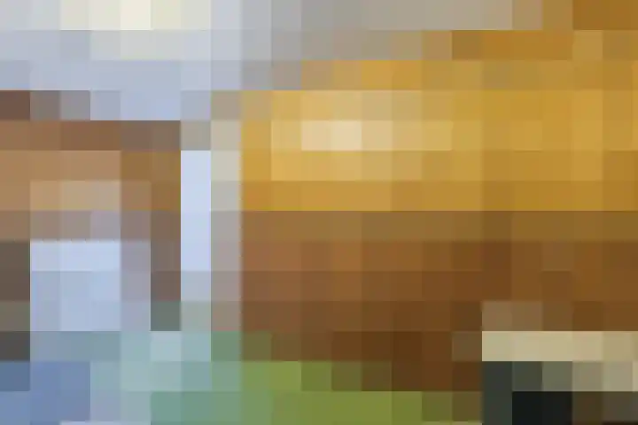 Otto Zomerweg 59 Hollandscheveld thumbnail 16