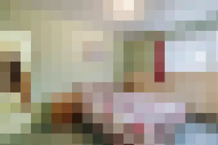 Otto Zomerweg 59 Hollandscheveld thumbnail 17