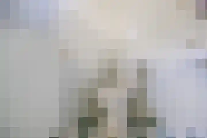 Otto Zomerweg 59 Hollandscheveld thumbnail 22