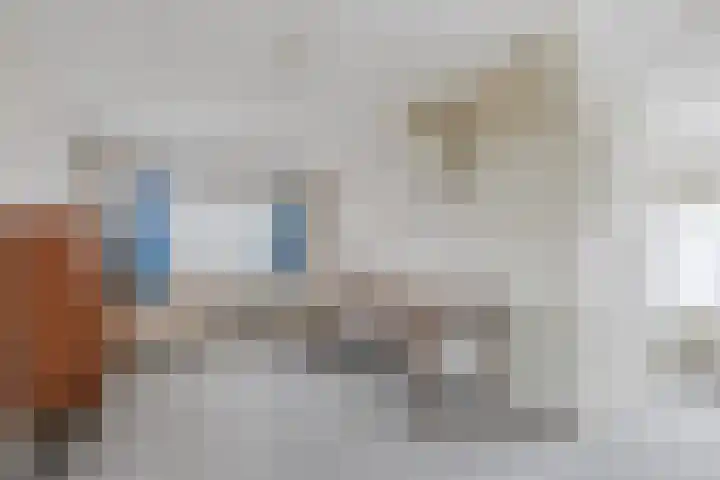 Otto Zomerweg 59 Hollandscheveld thumbnail 29