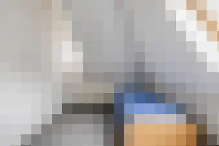 Otto Zomerweg 59 Hollandscheveld thumbnail 34