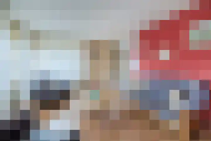 Otto Zomerweg 59 Hollandscheveld thumbnail 4