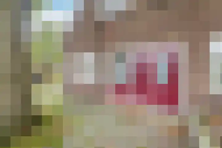 Otto Zomerweg 59 Hollandscheveld thumbnail 44