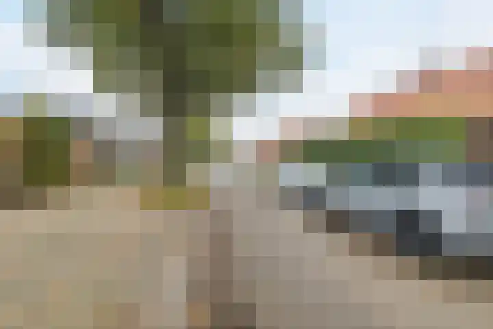 Otto Zomerweg 59 Hollandscheveld thumbnail 46