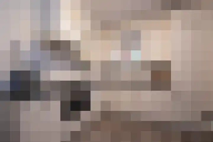 Otto Zomerweg 65 Hollandscheveld thumbnail 15