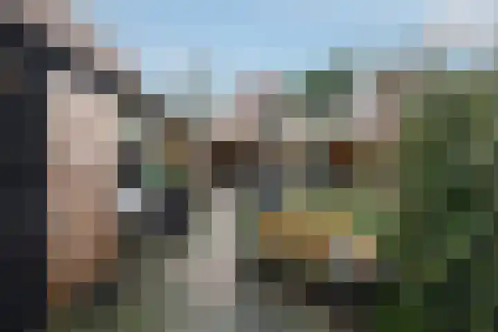 Otto Zomerweg 65 Hollandscheveld thumbnail 31