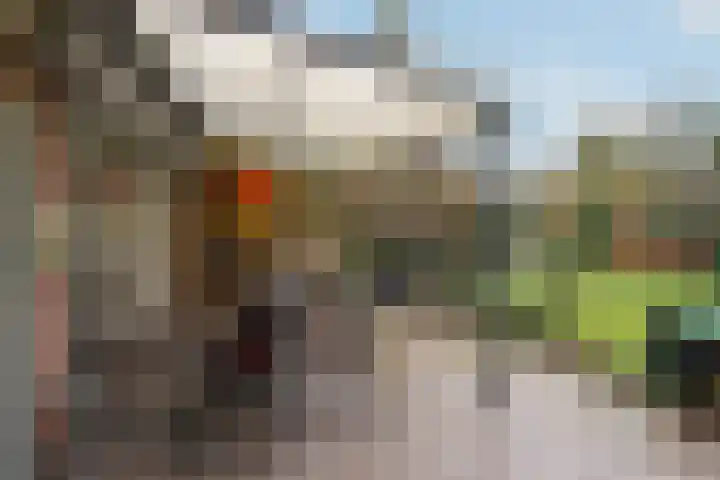 Otto Zomerweg 65 Hollandscheveld thumbnail 32