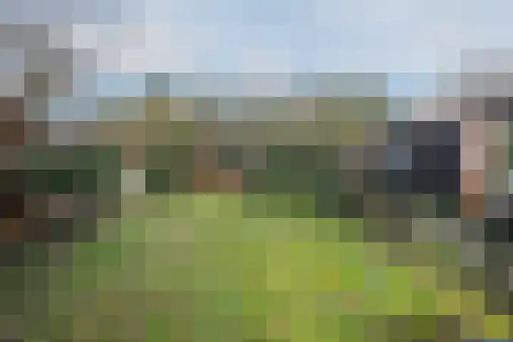 Otto Zomerweg 65 Hollandscheveld thumbnail 34