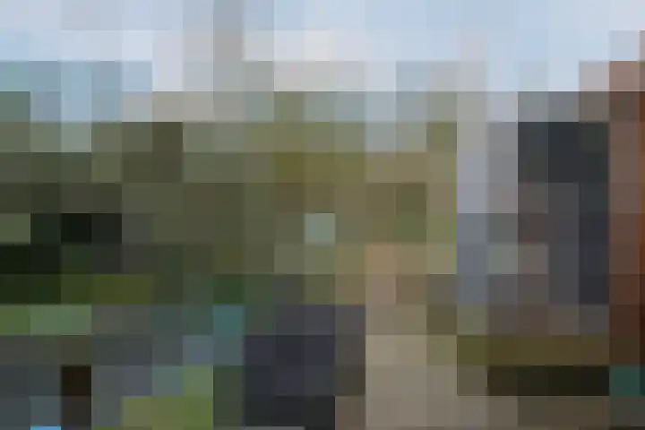 Otto Zomerweg 65 Hollandscheveld thumbnail 35