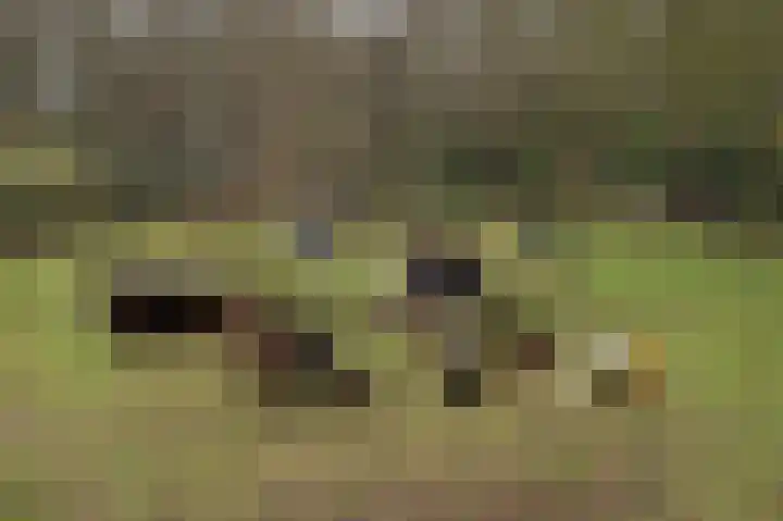 Otto Zomerweg 65 Hollandscheveld thumbnail 37