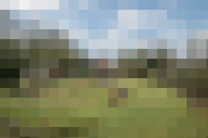 Otto Zomerweg 65 Hollandscheveld thumbnail 38