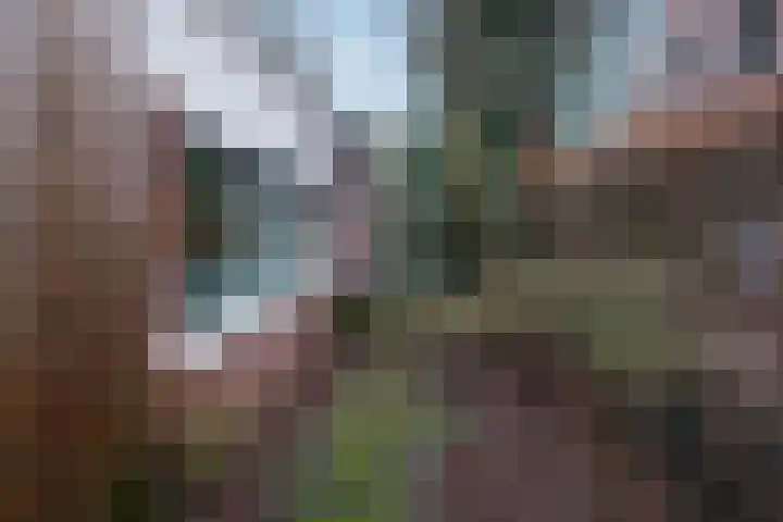 Otto Zomerweg 65 Hollandscheveld thumbnail 39