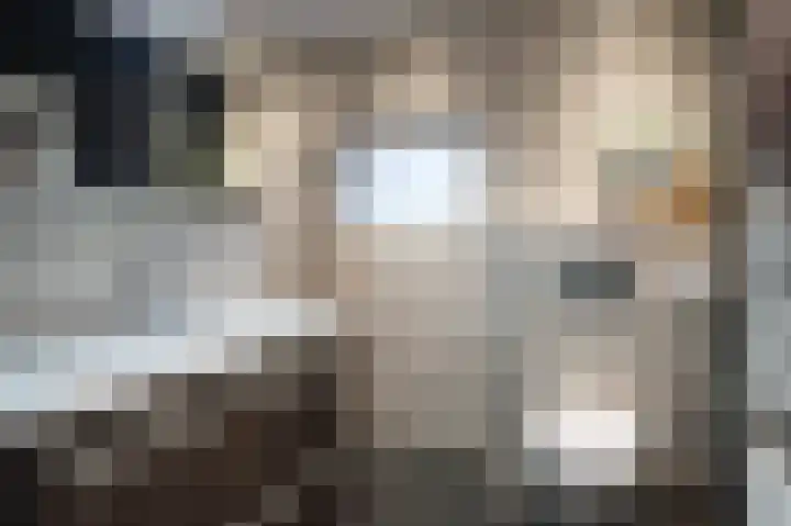 Otto Zomerweg 65 Hollandscheveld thumbnail 4