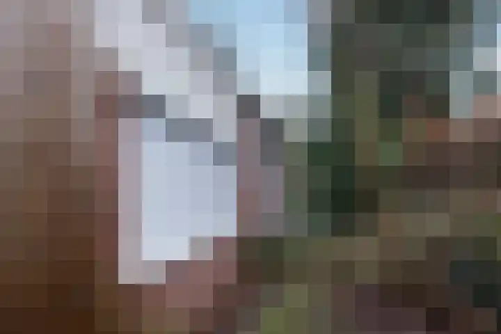 Otto Zomerweg 65 Hollandscheveld thumbnail 40
