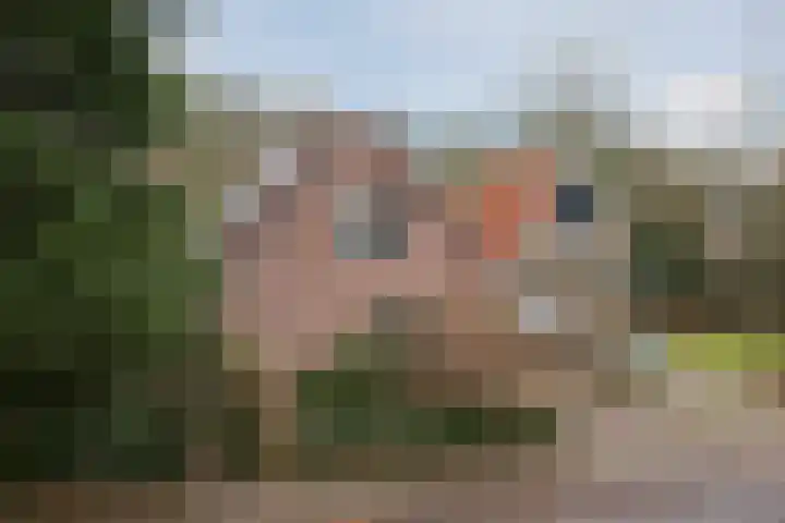 Otto Zomerweg 65 Hollandscheveld thumbnail 5