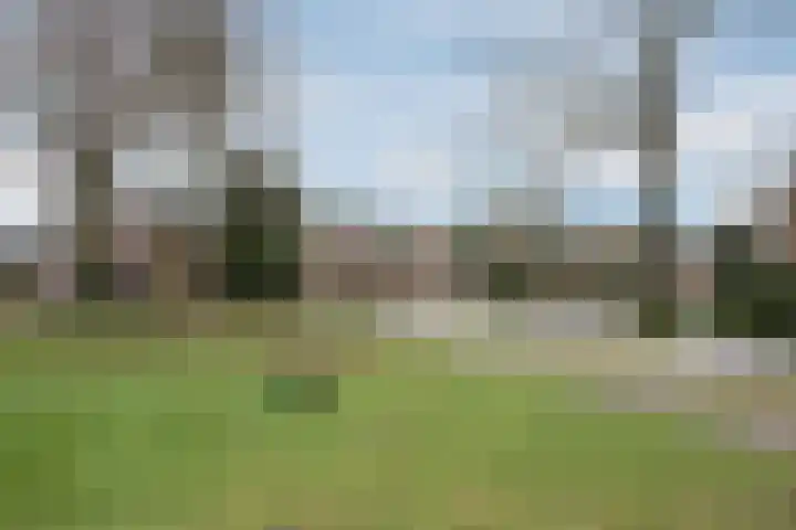 Otto Zomerweg 65 Hollandscheveld thumbnail 6