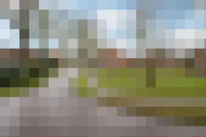 Otto Zomerweg 65 Hollandscheveld thumbnail 7