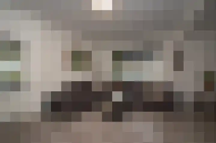 Otto Zomerweg 65 Hollandscheveld thumbnail 9