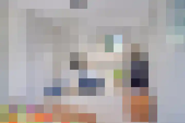 Ottoborrengoed 16 Hoevelaken thumbnail 17