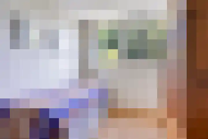 Ottoborrengoed 16 Hoevelaken thumbnail 21