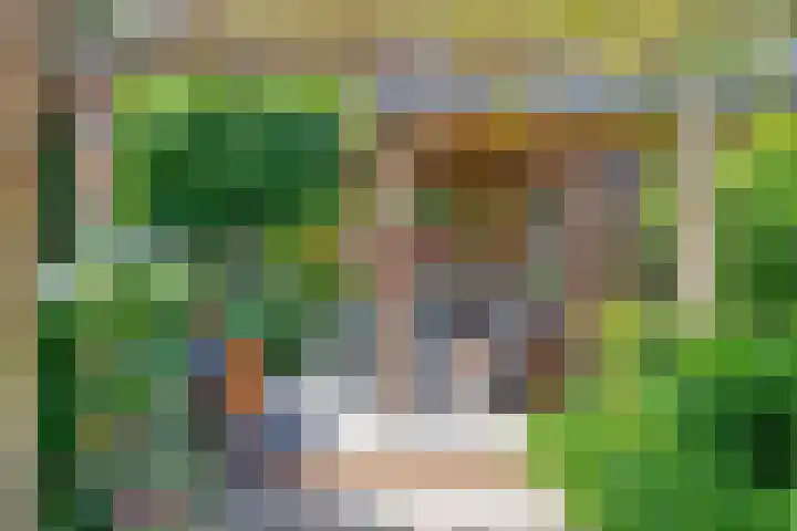 Ottoborrengoed 16 Hoevelaken thumbnail 29