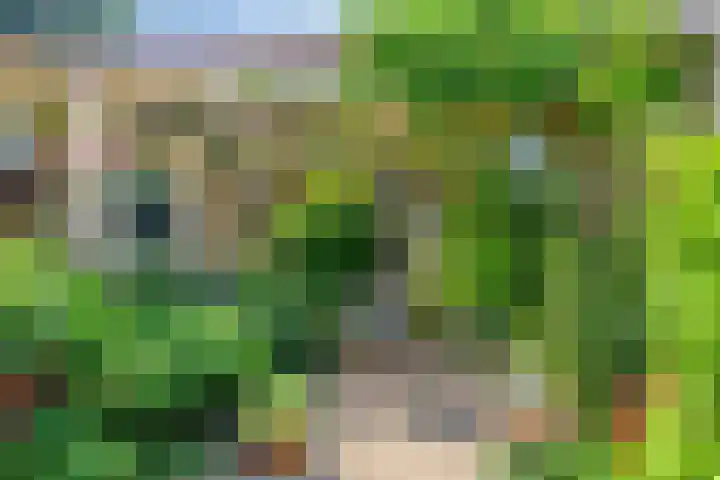 Ottoborrengoed 16 Hoevelaken thumbnail 30