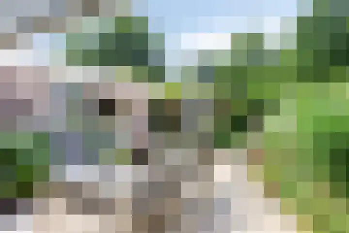 Ottoborrengoed 16 Hoevelaken thumbnail 31