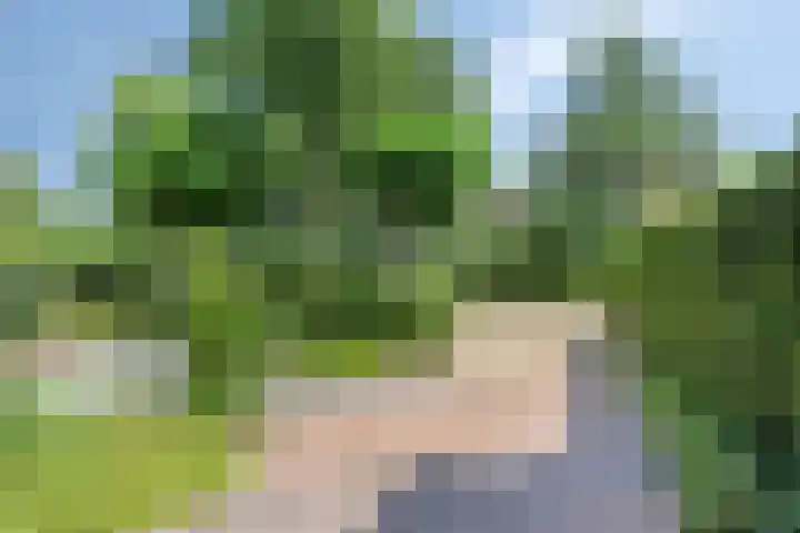Ottoborrengoed 16 Hoevelaken thumbnail 35