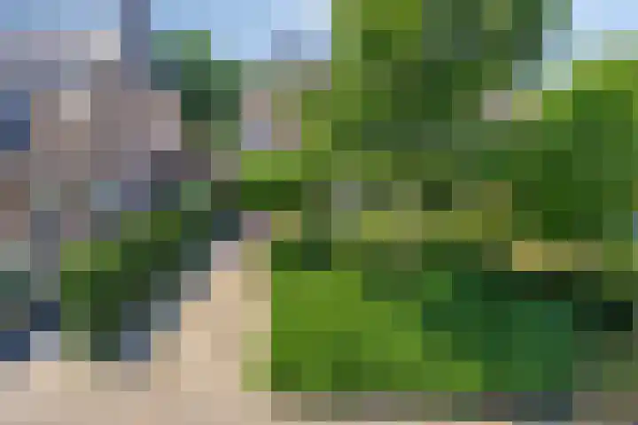 Ottoborrengoed 16 Hoevelaken thumbnail 37