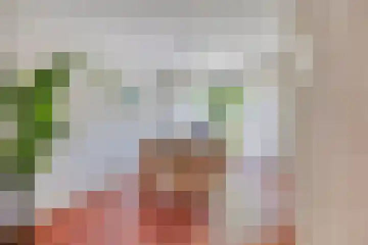 Ottoborrengoed 16 Hoevelaken thumbnail 9