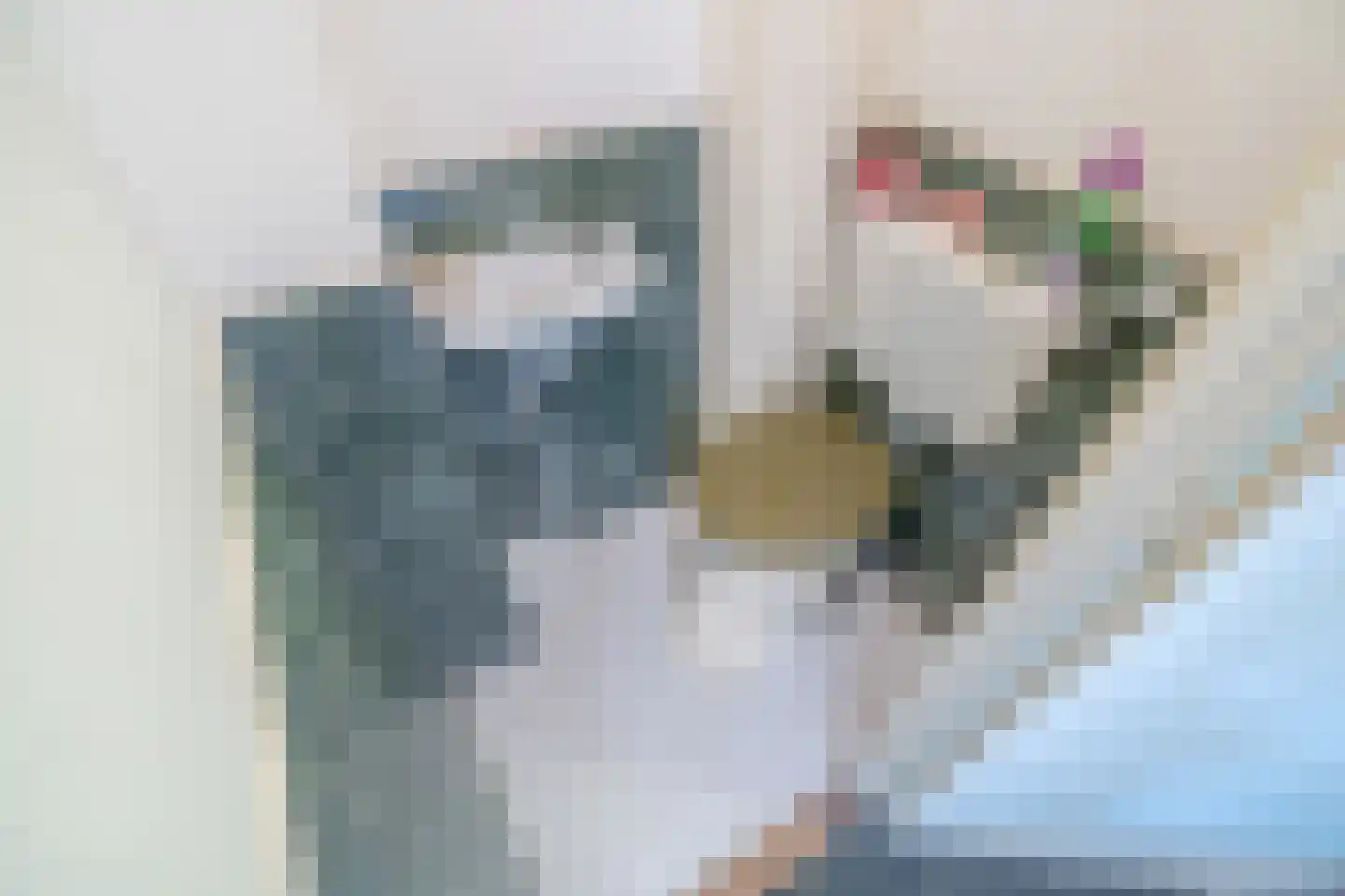 Ottoburgstraat 16 Rijswijk thumbnail 22