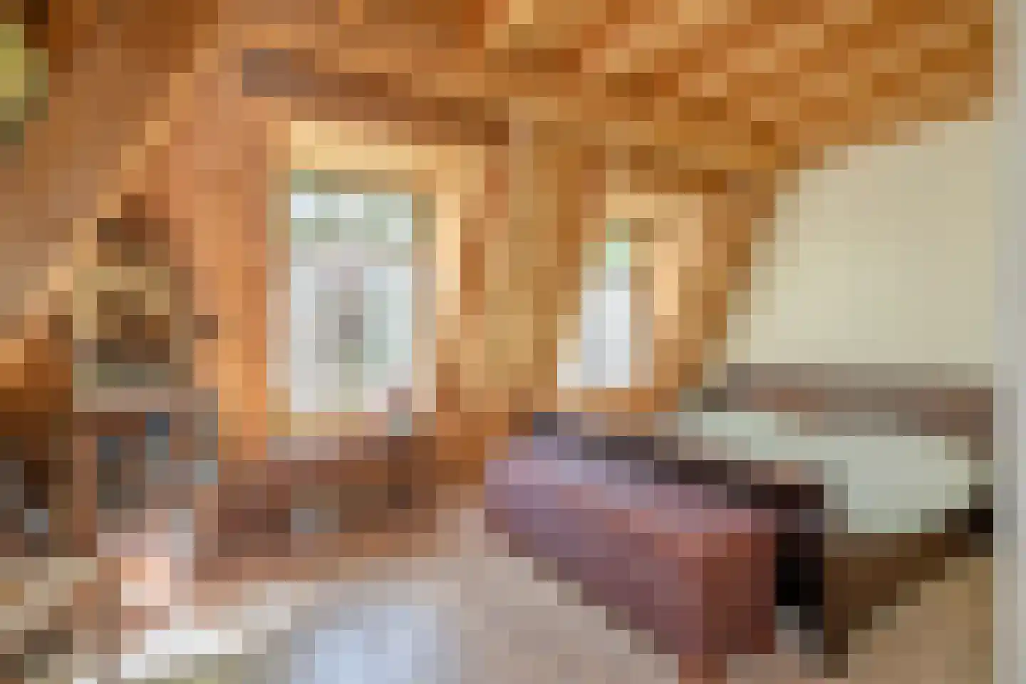 Ottoburgstraat 16 Rijswijk thumbnail 29