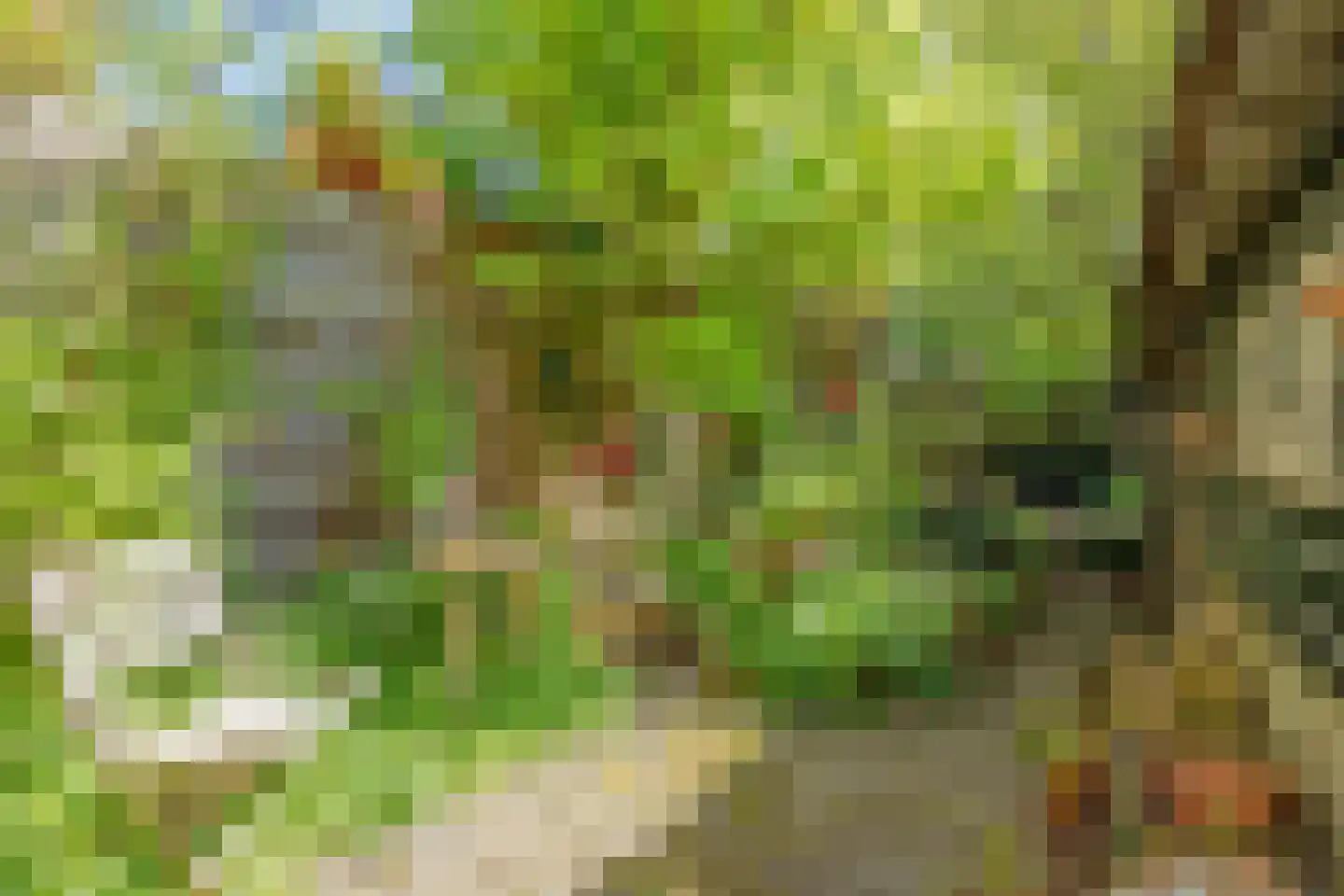 Ottoburgstraat 16 Rijswijk thumbnail 37