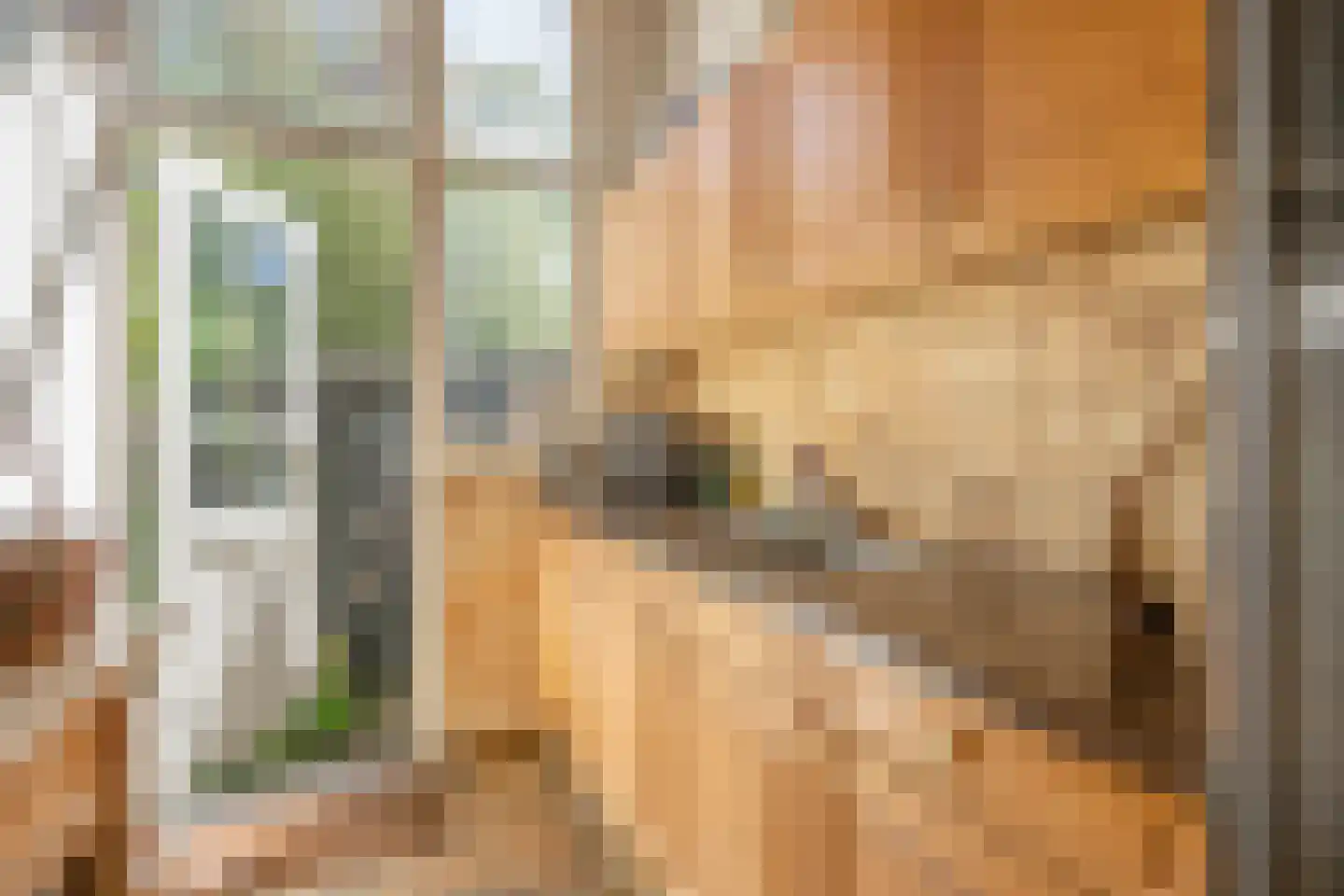 Ottoburgstraat 16 Rijswijk thumbnail 4