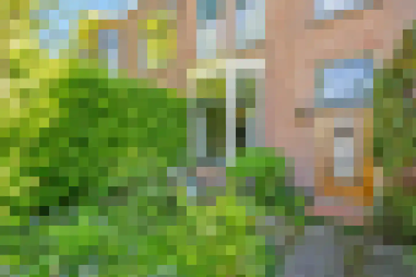 Ottoburgstraat 16 Rijswijk thumbnail 5