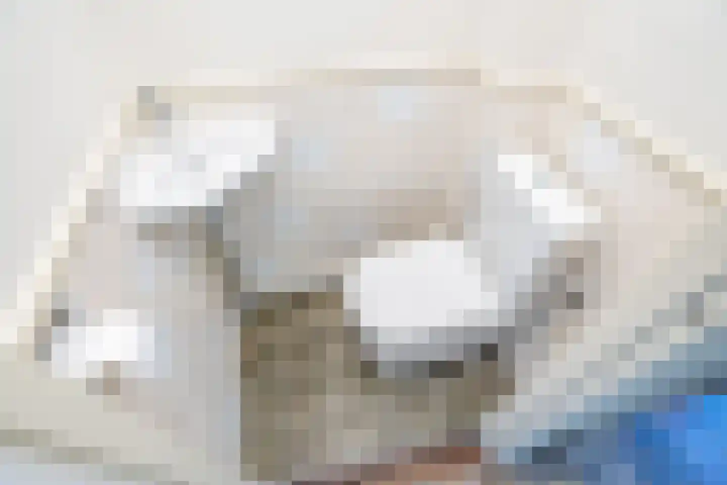 Ottoburgstraat 16 Rijswijk thumbnail 7