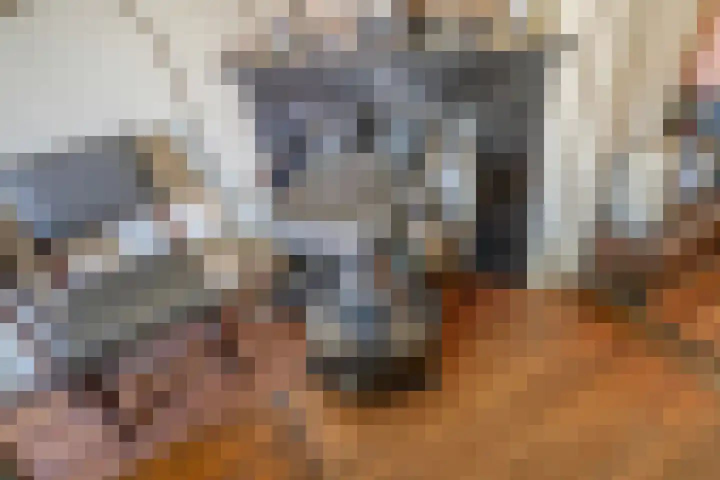 Ottoburgstraat 16 Rijswijk thumbnail 9