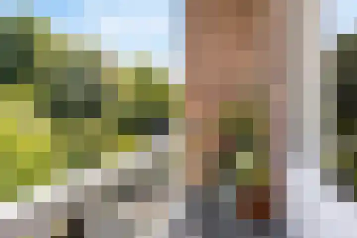 Ottoburgstraat 22 Rijswijk thumbnail 20