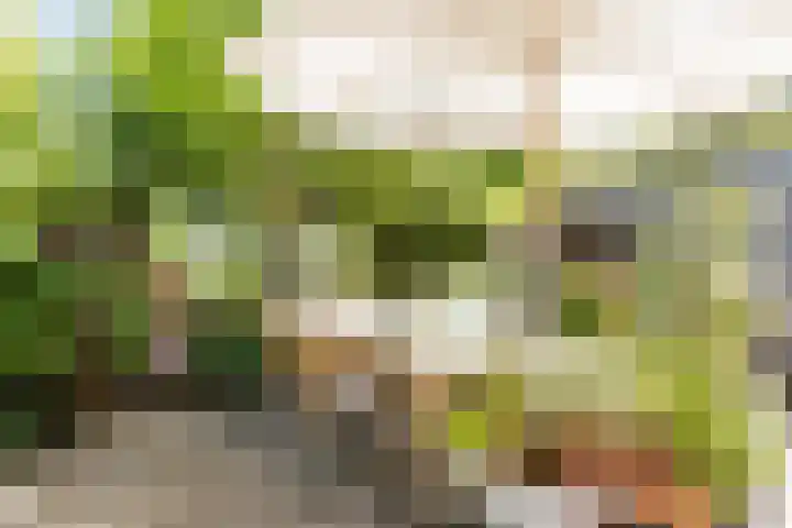 Ottoburgstraat 22 Rijswijk thumbnail 33