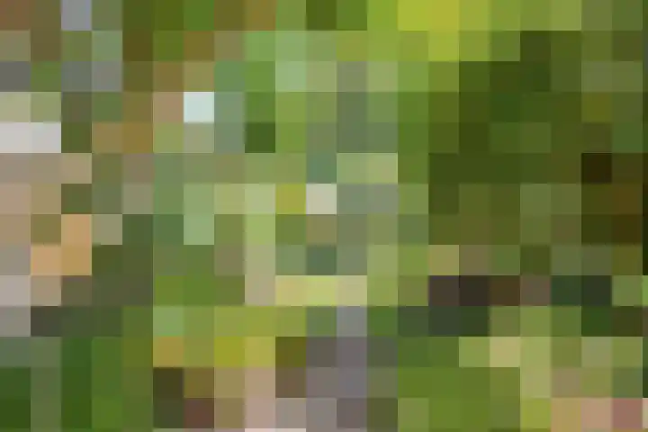 Ottoburgstraat 22 Rijswijk thumbnail 34