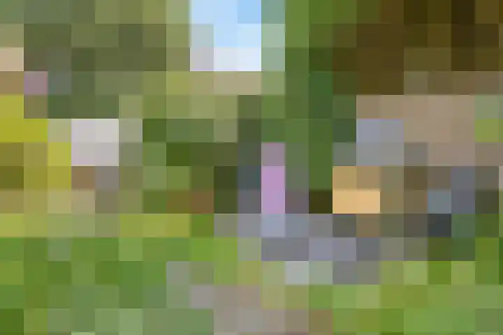 Ottoburgstraat 22 Rijswijk thumbnail 35